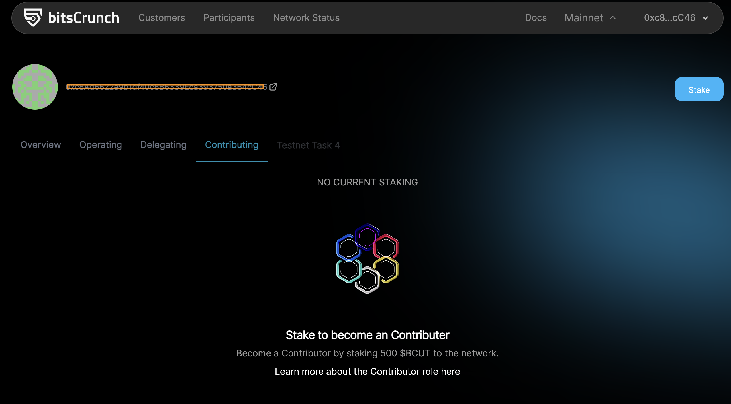 Contributing page in the bitsCrunch network