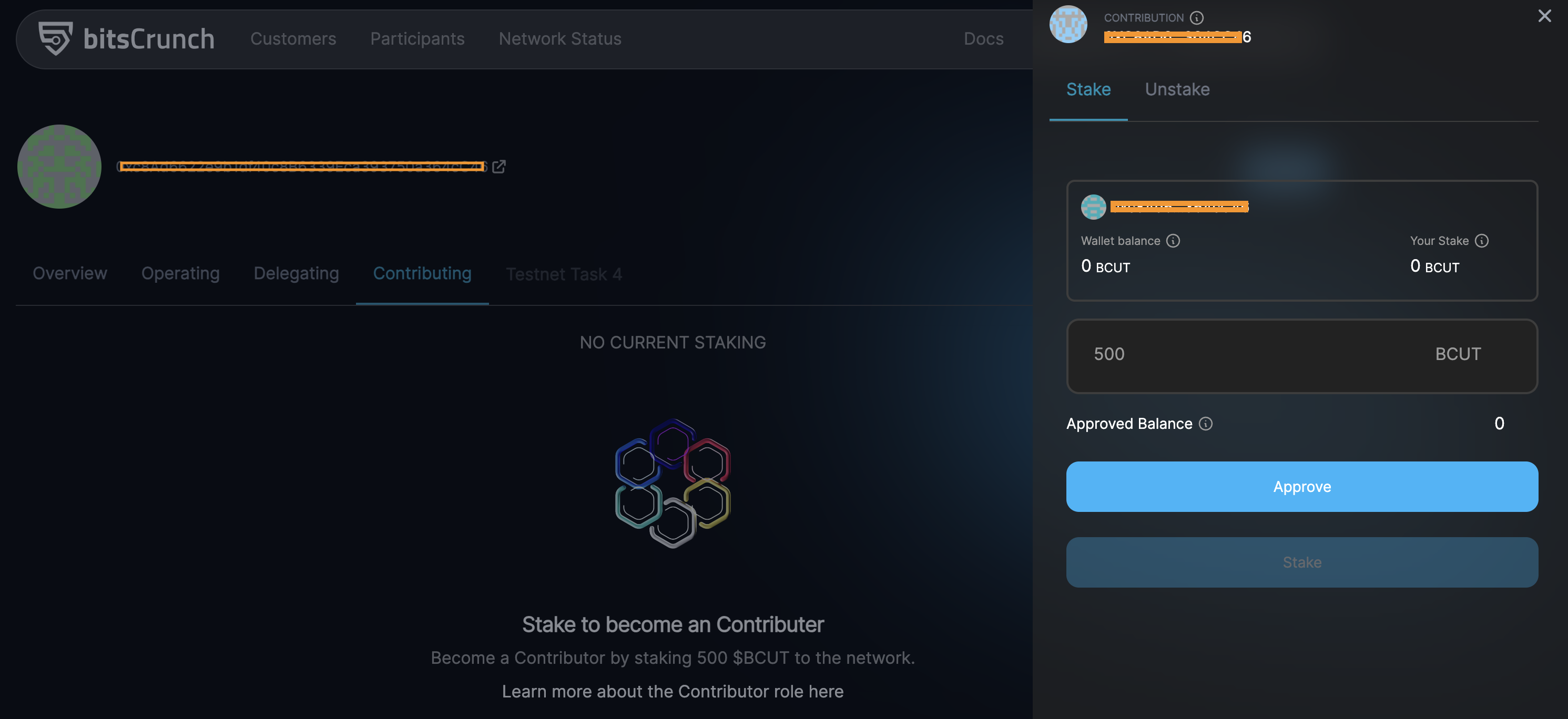 Contributor staking in the bitsCrunch network