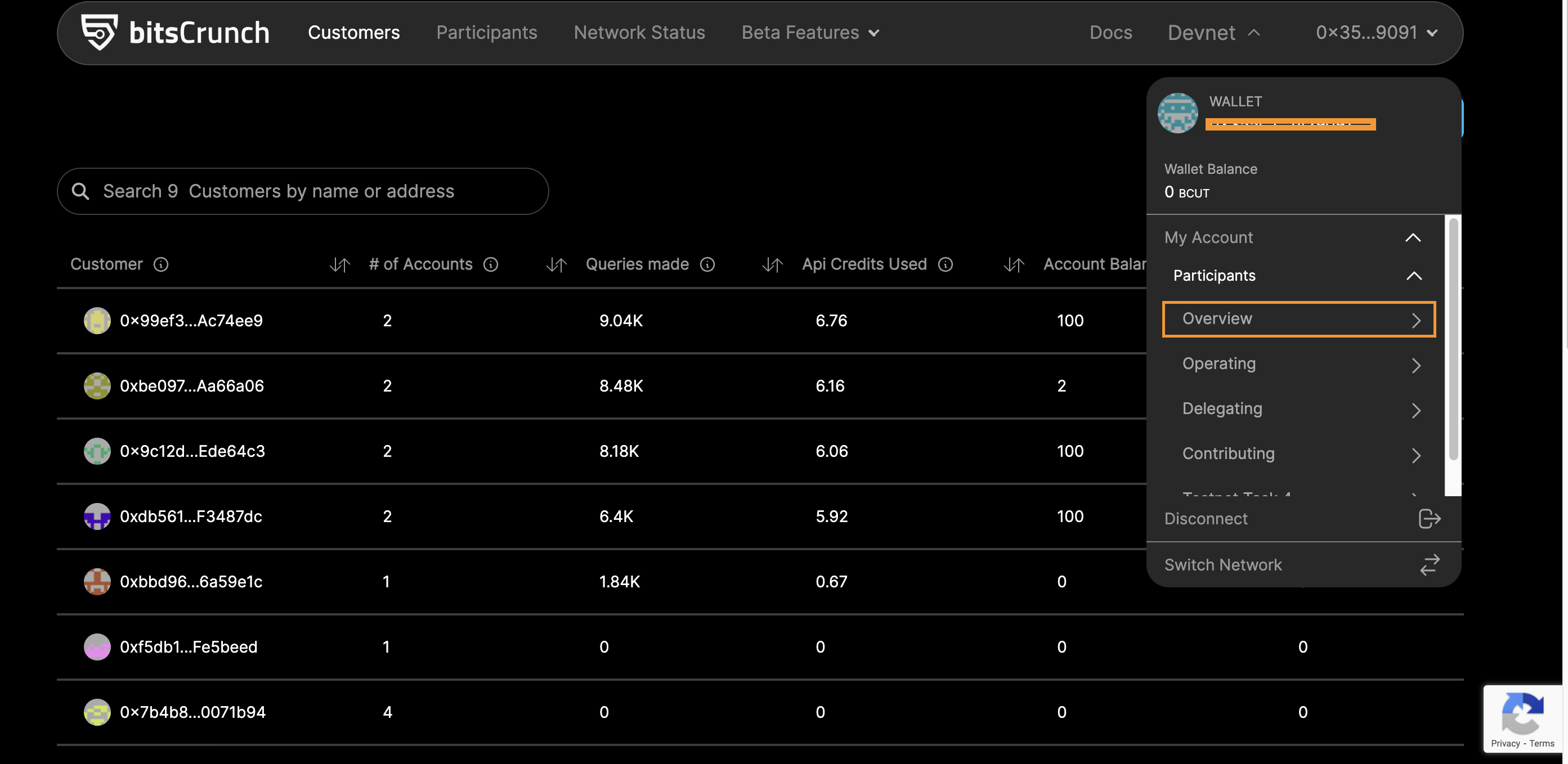 Select Overview in the bitsCrunch network