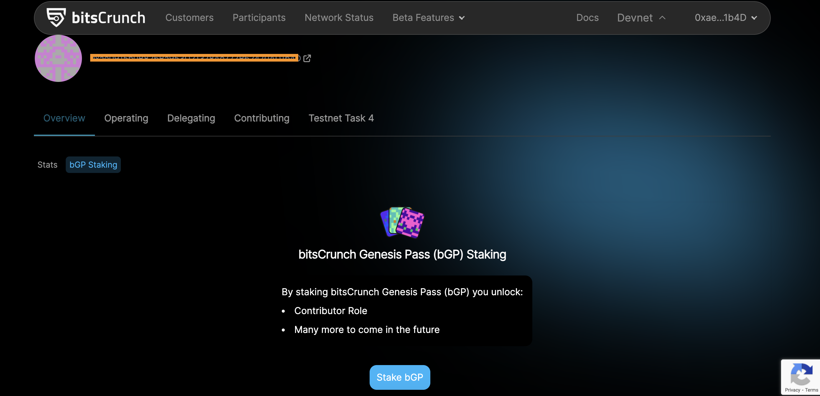 Overview page in the bitsCrunch network