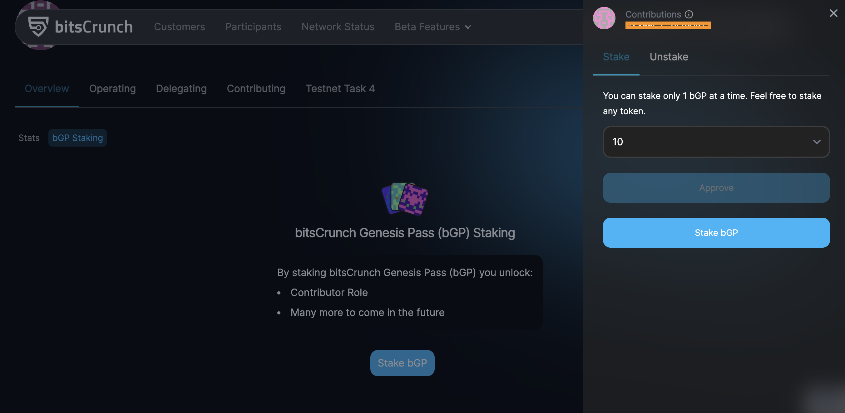 NFT staking in the bitsCrunch network